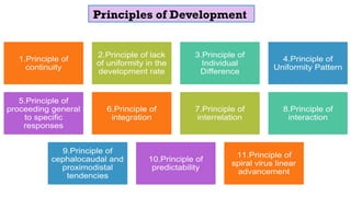 Principles of Development
 
