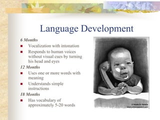 Language Development
6 Months
 Vocalization with intonation
 Responds to human voices
without visual cues by turning
his head and eyes
12 Months
 Uses one or more words with
meaning
 Understands simple
instructions
18 Months
 Has vocabulary of
approximately 5-20 words
 