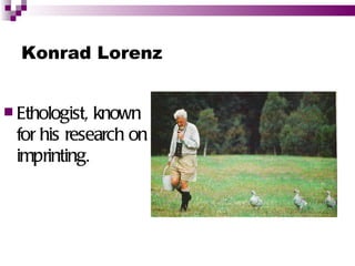Konrad Lorenz


 Ethologist, known
  for his research on
  imprinting.
 