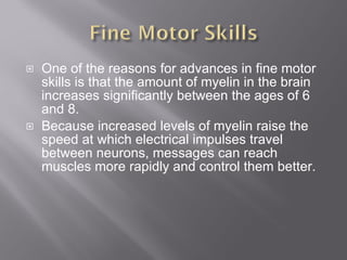 One of the reasons for advances in fine motor skills is that the amount of myelin in the brain increases significantly between the ages of 6 and 8. Because increased levels of myelin raise the speed at which electrical impulses travel between neurons, messages can reach muscles more rapidly and control them better. 