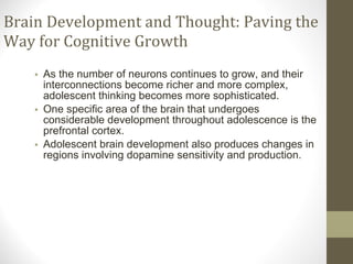 Brain Development and Thought: Paving the Way for Cognitive Growth As the number of neurons continues to grow, and their interconnections become richer and more complex, adolescent thinking becomes more sophisticated. One specific area of the brain that undergoes considerable development throughout adolescence is the prefrontal cortex. Adolescent brain development also produces changes in regions involving dopamine sensitivity and production. 