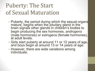 Puberty: The Start of Sexual Maturation Puberty, the period during which the sexual organs mature, begins when the pituitary gland in the brain signals other glands in children’s bodies to begin producing the sex hormones,  androgens  (male hormones) or  estrogens  (female hormones), at adult levels. Girls start puberty at around 11 or 12 years of age, and boys begin at around 13 or 14 years of age.  However, there are wide variations among individuals. 