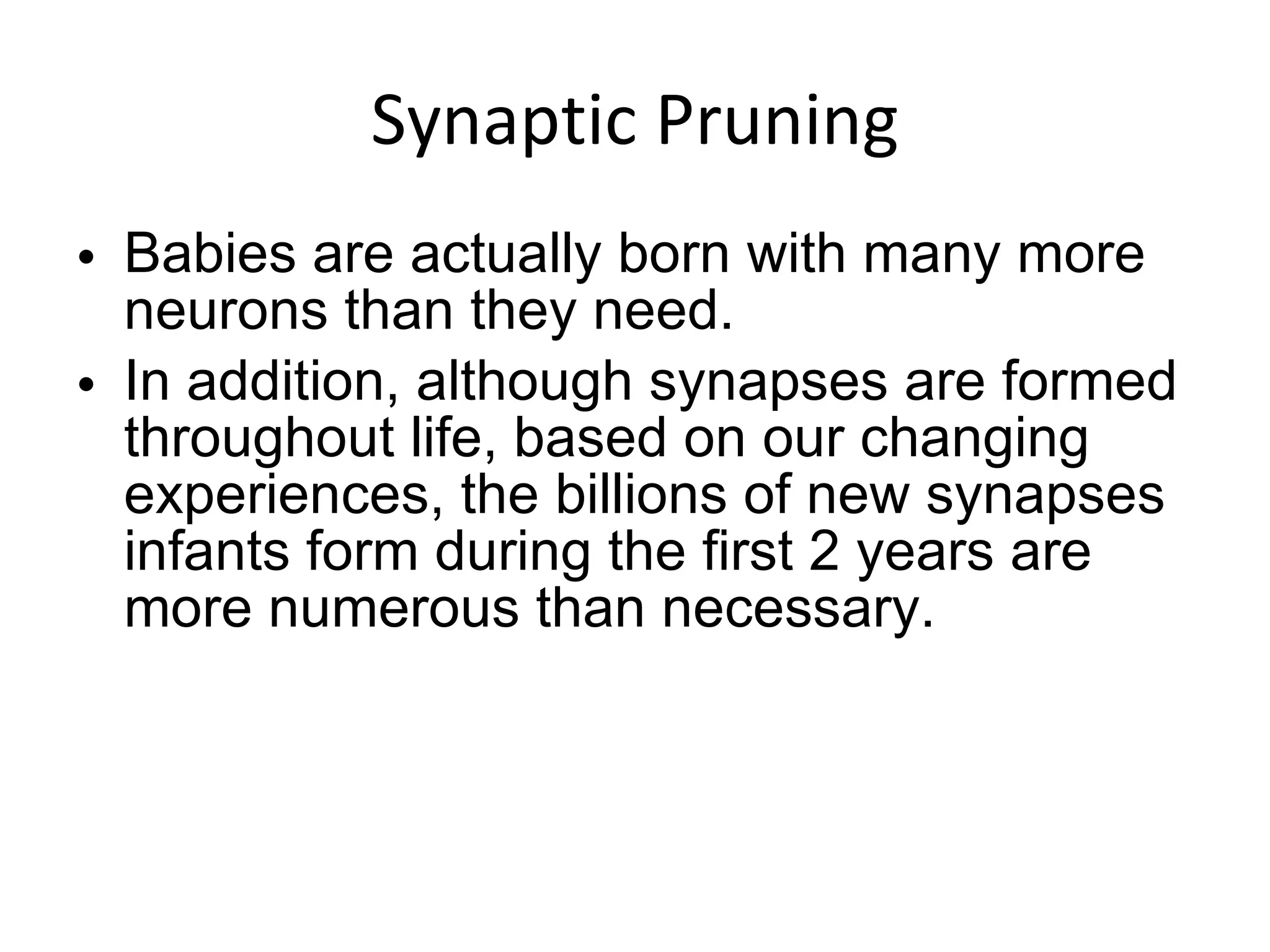 Synaptic Pruning Babies are actually born with many more neurons than they need.  In addition, although synapses are formed throughout life, based on our changing experiences, the billions of new synapses infants form during the first 2 years are more numerous than necessary. 
