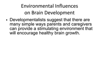 Environmental Influences on Brain Development Developmentalists suggest that there are many simple ways parents and caregivers can provide a stimulating environment that will encourage healthy brain growth. 