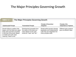 The Major Principles Governing Growth 