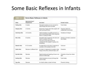 Some Basic Reflexes in Infants 
