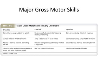 Major Gross Motor Skills
 