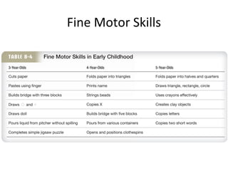 Fine Motor Skills
 
