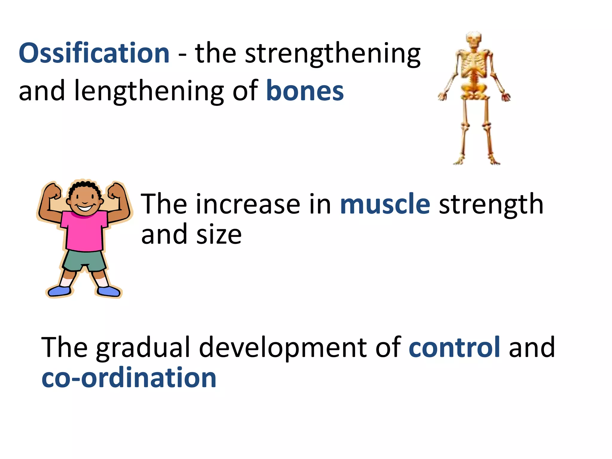 Ossification - the strengthening
and lengthening of bones


         The increase in muscle strength
         and size


 The gradual development of control and
 co-ordination
 