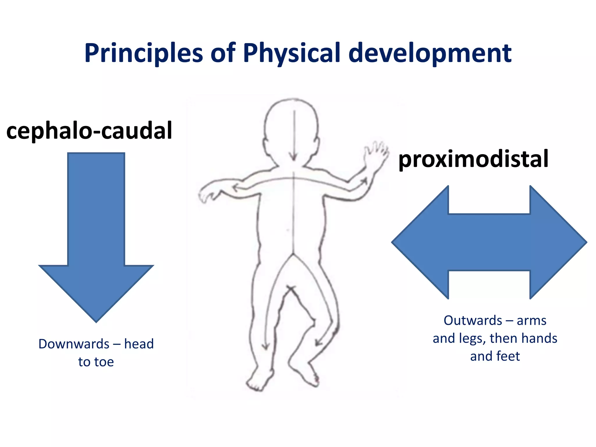 Principles of Physical development

cephalo-caudal
                                proximodistal




                                    Outwards – arms
  Downwards – head                 and legs, then hands
      to toe                             and feet
 