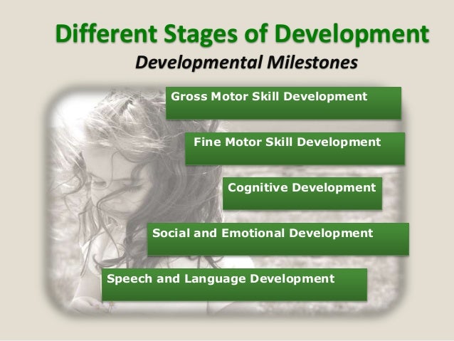 The Importance Of Cognitive Development 2025 - Main Image