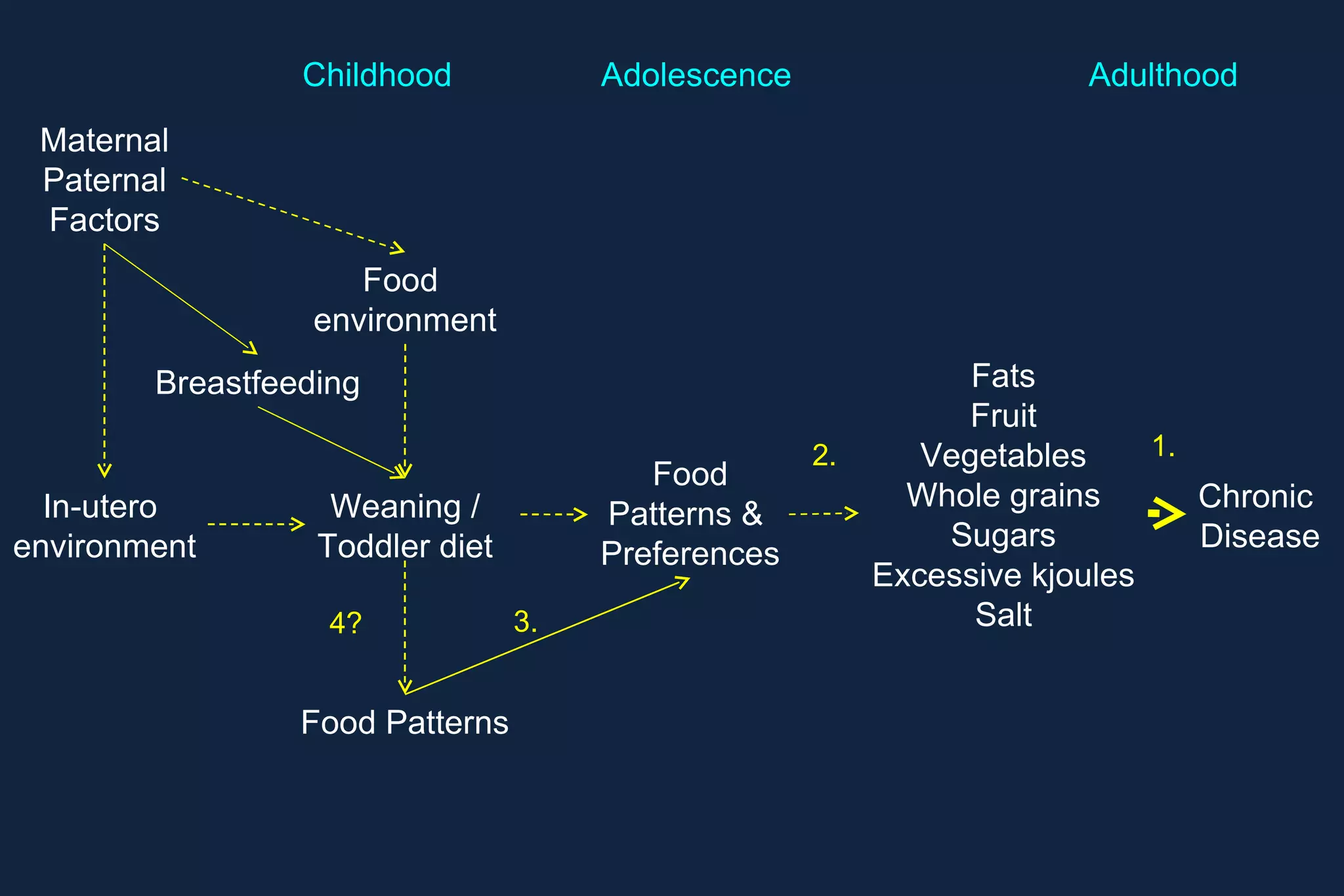 4. Diet in late childhood tracks from diet in early childhood 2005 study showed consistent patterns between ages 4 and 7 2008 study expanded to include ages 3, 4, 7 and 9. It found greater variability especially  from age 3-9 but nevertheless, demonstrated moderate levels of tracking 2005 2008 