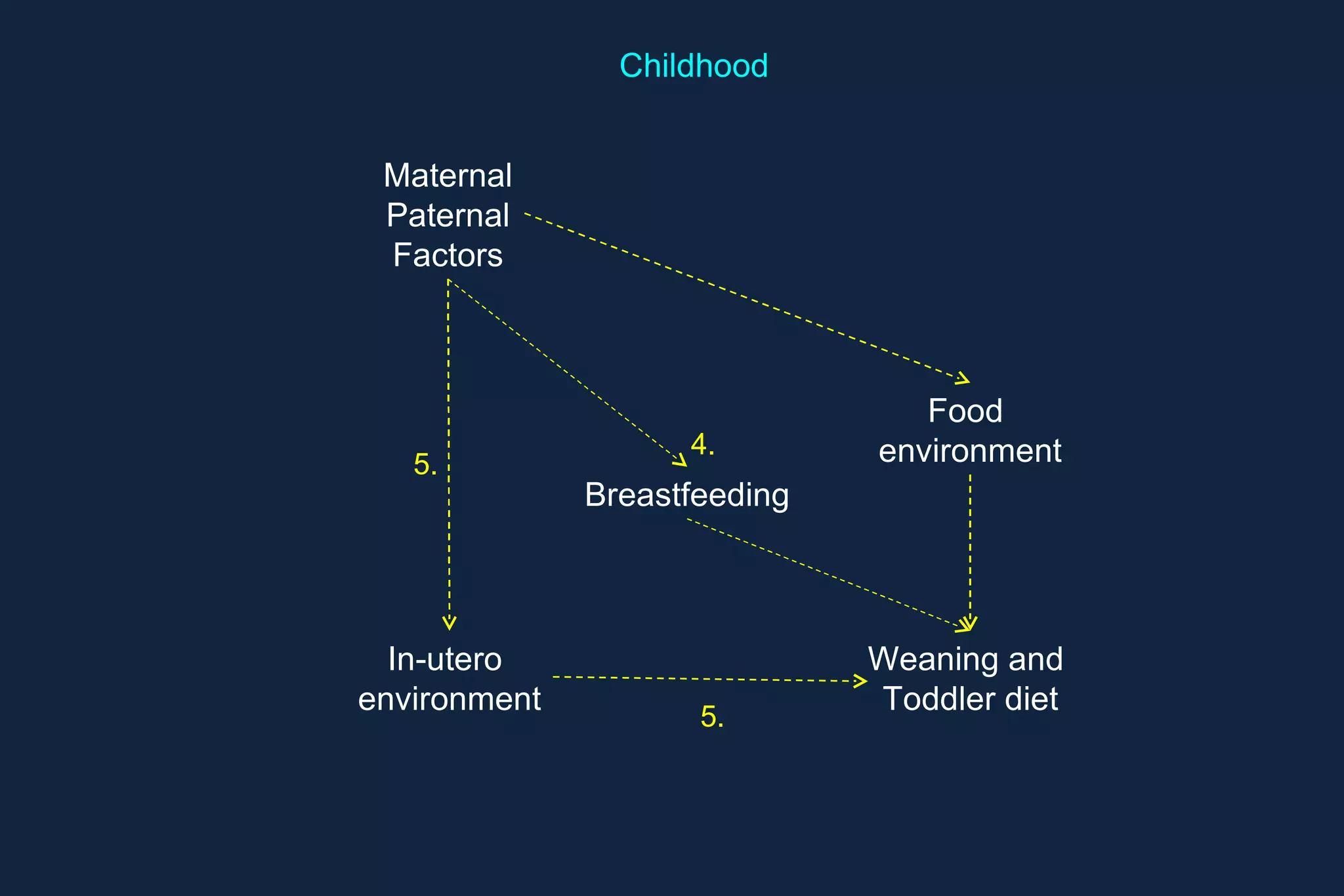 Chronic  Disease Fats Fruit Vegetables Whole grains Sugars Excessive kjoules Salt Adulthood Adolescence Childhood Food Patterns 1. 2. 3. Food Patterns &  Preferences Maternal Paternal Factors Weaning / Toddler diet Food  environment In-utero  environment 4? Breastfeeding 