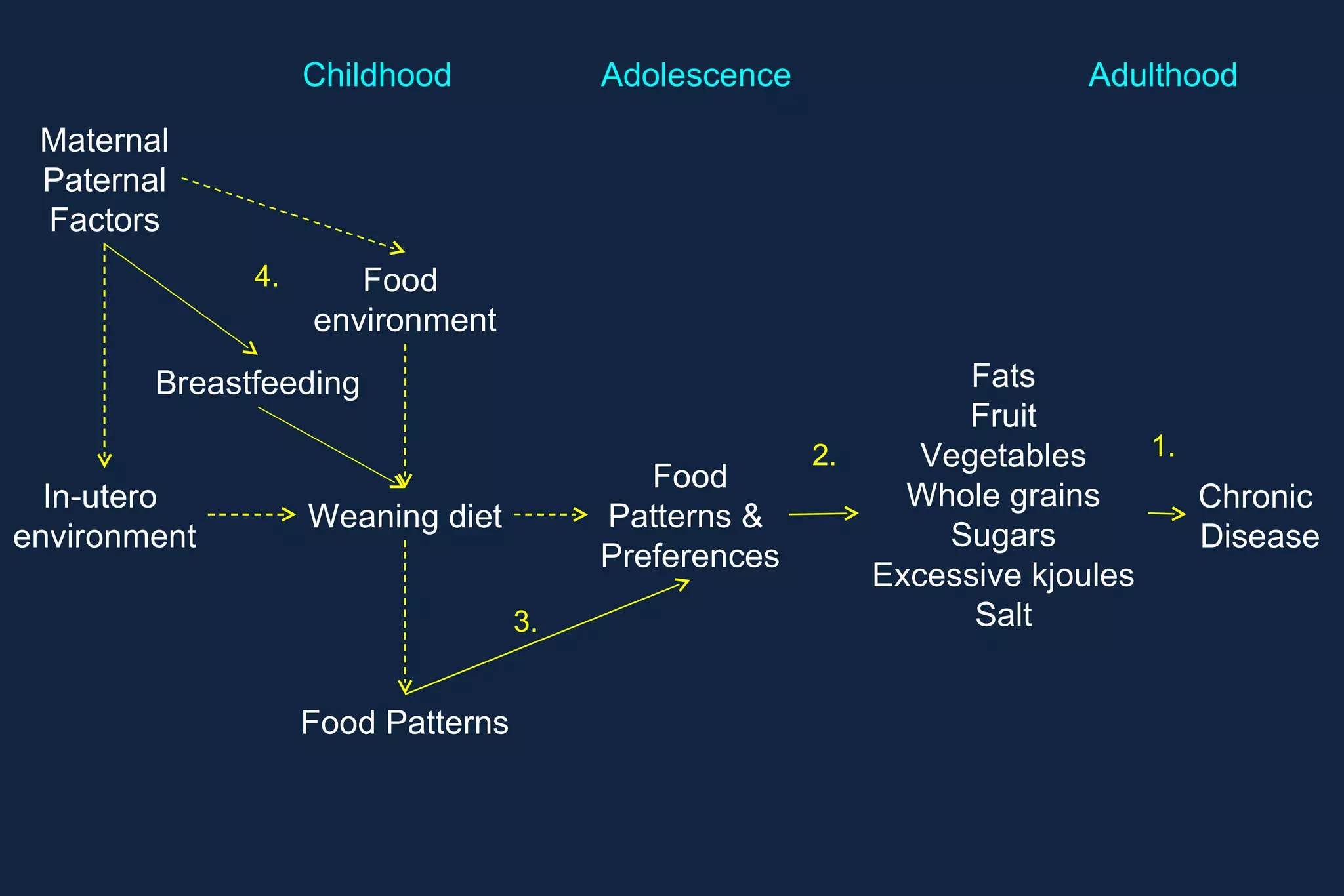 Maternal Paternal Factors Weaning and  Toddler diet Food  environment In-utero  environment Breastfeeding Childhood 4. 5. 5. 