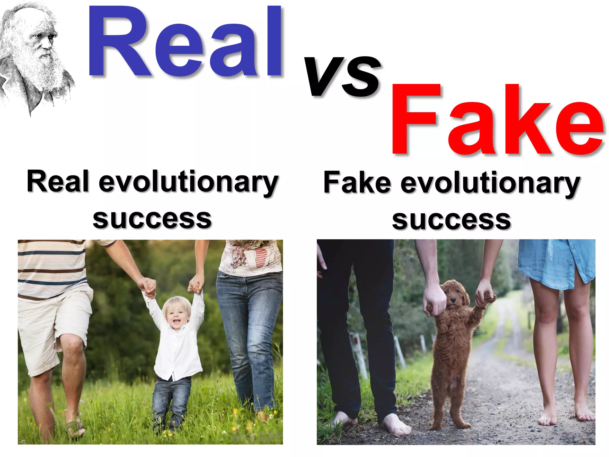 Pro Datalist Pro-natalist life values: real vs fake | PDF