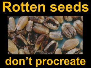 Rotten seeds
don’t procreate
 