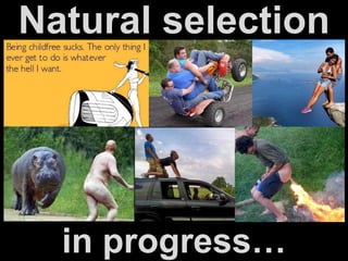 Natural selection
in progress…
 