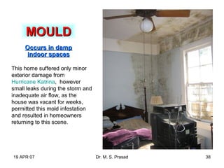 19 APR 07 Dr. M. S. Prasad 38
MOULDMOULD
Occurs in dampOccurs in damp
indoor spacesindoor spaces
This home suffered only minor
exterior damage from
Hurricane Katrina, however
small leaks during the storm and
inadequate air flow, as the
house was vacant for weeks,
permitted this mold infestation
and resulted in homeowners
returning to this scene.
 