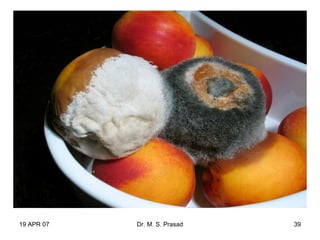19 APR 07 Dr. M. S. Prasad 39
 