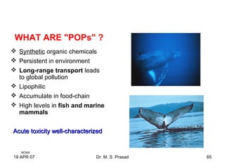 19 APR 07 Dr. M. S. Prasad 65
WHAT ARE "POPs" ?
 Synthetic organic chemicals
 Persistent in environment
 Long-range transport leads
to global pollution
 Lipophilic
 Accumulate in food-chain
 High levels in fish and marine
mammals
Acute toxicity well-characterizedAcute toxicity well-characterized
NOAA
 