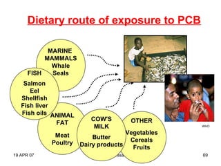 19 APR 07 Dr. M. S. Prasad 69
Dietary route of exposure to PCB
MARINE
MAMMALS
Whale
Seals
OTHER
Vegetables
Cereals
Fruits
ANIMAL
FAT
Meat
Poultry
COW'S
MILK
Butter
Dairy products
FISH
Salmon
Eel
Shellfish
Fish liver
Fish oils
WHO
 