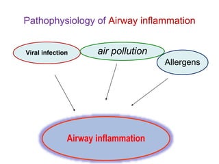 Viral infection air pollution
Allergens
Airway inflammation
Pathophysiology of Airway inflammation
 