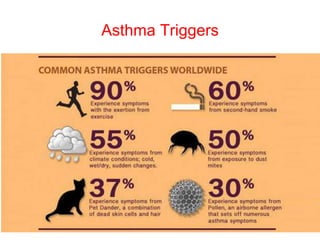 Asthma Triggers
 