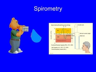 Spirometry
 