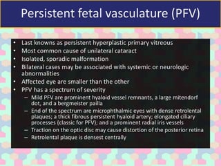 Persistent fetal vasculature (PFV)
• Last knowns as persistent hyperplastic primary vitreous
• Most common cause of unilateral cataract
• Isolated, sporadic malformation
• Bilateral cases may be associated with systemic or neurologic
abnormalities
• Affected eye are smaller than the other
• PFV has a spectrum of severity
– Mild PFV are prominent hyaloid vessel remnants, a large mitendorf
dot, and a bergmeister pailla
– End of the spectrum are microphthalmic eyes with dense retrolental
plaques; a thick fibrous persistent hyaloid artery; elongated ciliary
processes (classic for PFV); and a prominent radial iris vessels
– Traction on the optic disc may cause distortion of the posterior retina
– Retrolental plaque is densest centrally
 