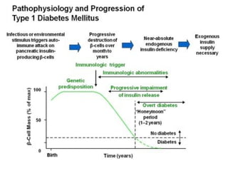 childhood diabetes mellitus type 1 for students | PPT