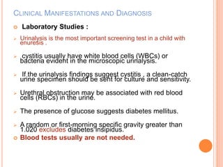 CLINICAL MANIFESTATIONS AND DIAGNOSIS 
 Laboratory Studies : 
 Urinalysis is the most important screening test in a child with 
enuresis . 
 cystitis usually have white blood cells (WBCs) or 
bacteria evident in the microscopic urinalysis. 
 If the urinalysis findings suggest cystitis , a clean-catch 
urine specimen should be sent for culture and sensitivity. 
 Urethral obstruction may be associated with red blood 
cells (RBCs) in the urine. 
 The presence of glucose suggests diabetes mellitus. 
 A random or first-morning specific gravity greater than 
1.020 excludes diabetes insipidus. 
 Blood tests usually are not needed. 
 