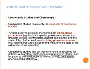 CLINICAL MANIFESTATIONS AND DIAGNOSIS 
 Urodynamic Studies and Cystoscopy : 
 Urodynamic studies help clarify the diagnosis of neurogenic 
bladder. 
 A video urodynamic study measures both filling-phase 
parameters (eg, bladder capacity, presence or absence of 
unstable detrusor contractions, bladder compliance, and the 
state of the bladder neck) and voiding-phase parameters 
(eg, voiding pressures, bladder emptying, and the state of the 
external urethral sphincter). 
 Urodynamic studies and cystoscopy should be reserved for 
patients with urethral obstruction and neurogenic bladder and 
for patients with dysfunctional voiding who do not improve 
after 3 months of therapy. 
 