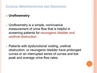 CLINICAL MANIFESTATIONS AND DIAGNOSIS 
 Uroflowmetry 
 Uroflowmetry is a simple, noninvasive 
measurement of urine flow that is helpful in 
screening patients for neurogenic bladder and 
urethral obstruction . 
 Patients with dysfunctional voiding, urethral 
obstruction, or neurogenic bladder have prolonged 
curves or an interrupted series of curves and low 
peak and average urine flow rates. 
 