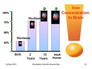 Iron Concentration  In Brain 25% 50% 75% 100% Birth 2 Years 10  Years Adult  Human Maximum Myelination 