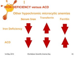 IRON DEFICIENCY versus ACD Other hypochromic microcytic anemias Serum Iron Transferrin  Ferritin Iron Deficiency ACD 