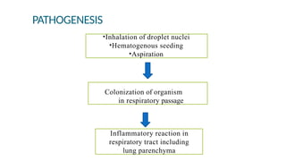 PATHOGENESIS
•Inhalation of droplet nuclei
•Hematogenous seeding
•Aspiration
Colonization of organism
in respiratory passage
Inflammatory reaction in
respiratory tract including
lung parenchyma
 