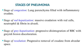 STAGES OF PNEUMONIA
⚫Stage of congestion: Lung parenchyma filled with inflammatory
exudate.
⚫Stage of red hepatization: massive exudation with red cells,
neutrophil & fibrin in alveoli.
⚫Stage of grey hepatization: progressive disintegration of RBC with
greyish brown discoloration.
⚫Stage of resolution: Progressive removal of exudate from alveolar
space.
 