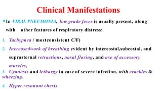 ⚫In VIRAL PNEUMONIA, low grade fever is usually present, along
with other features of respiratory distress:
1. Tachypnea ( mostconsistent C/F)
2. Increasedwork of breathing evident by intercostal,subcostal, and
suprasternal retractions, nasal flaring, and use of accessory
muscles,
3. Cyanosis and lethargy in case of severe infection, with crackles &
wheezing.
4. Hyper resonant chests
Clinical Manifestations
 