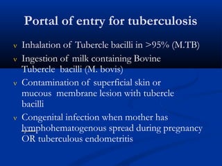 Portal of entry for tuberculosis
 Inhalation of Tubercle bacilli in >95% (M.TB)
 Ingestion of milk containing Bovine
Tubercle bacilli (M. bovis)
 Contamination of superficial skin or
mucous membrane lesion with tubercle
bacilli
 Congenital infection when mother has
lymphohematogenous spread during pregnancy
OR tuberculous endometritis
 