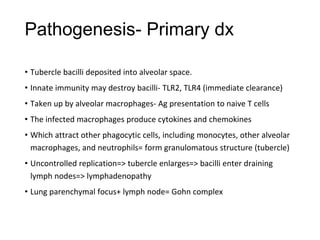 Pathogenesis- Primary dx
• Tubercle bacilli deposited into alveolar space.
• Innate immunity may destroy bacilli- TLR2, TLR4 (immediate clearance)
• Taken up by alveolar macrophages- Ag presentation to naive T cells
• The infected macrophages produce cytokines and chemokines
• Which attract other phagocytic cells, including monocytes, other alveolar
macrophages, and neutrophils= form granulomatous structure (tubercle)
• Uncontrolled replication=> tubercle enlarges=> bacilli enter draining
lymph nodes=> lymphadenopathy
• Lung parenchymal focus+ lymph node= Gohn complex
 