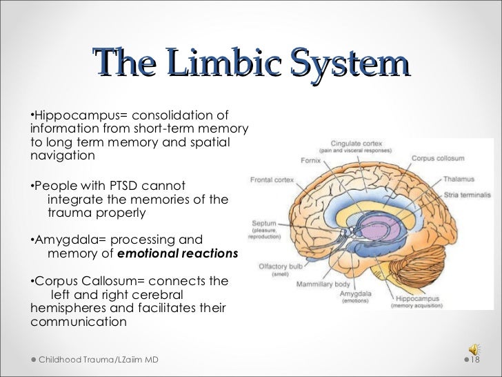 Childhood Trauma Presentation 2