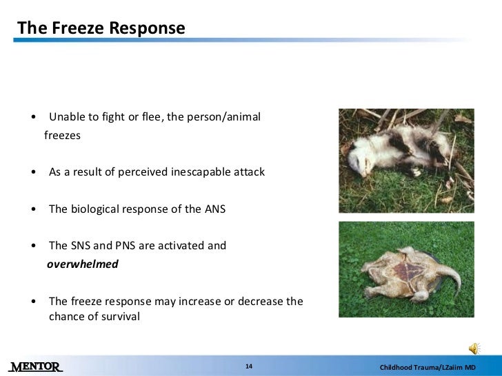 Childhood Trauma Presentation