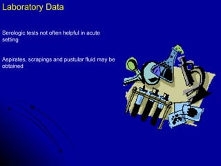 Laboratory Data Serologic tests not often helpful in acute setting Aspirates, scrapings and pustular fluid may be obtained 