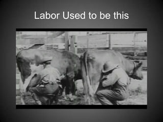 Labor Used to be this 