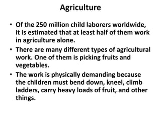 Agriculture 
• Of the 250 million child laborers worldwide, 
it is estimated that at least half of them work 
in agriculture alone. 
• There are many different types of agricultural 
work. One of them is picking fruits and 
vegetables. 
• The work is physically demanding because 
the children must bend down, kneel, climb 
ladders, carry heavy loads of fruit, and other 
things. 
 