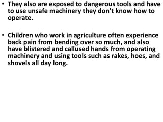 • They also are exposed to dangerous tools and have 
to use unsafe machinery they don't know how to 
operate. 
• Children who work in agriculture often experience 
back pain from bending over so much, and also 
have blistered and callused hands from operating 
machinery and using tools such as rakes, hoes, and 
shovels all day long. 
 