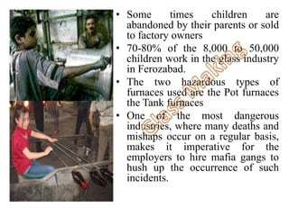 • Some times children are 
abandoned by their parents or sold 
to factory owners 
• 70-80% of the 8,000 to 50,000 
children work in the glass industry 
in Ferozabad. 
• The two hazardous types of 
furnaces used are the Pot furnaces 
the Tank furnaces 
• One of the most dangerous 
industries, where many deaths and 
mishaps occur on a regular basis, 
makes it imperative for the 
employers to hire mafia gangs to 
hush up the occurrence of such 
incidents. 
 