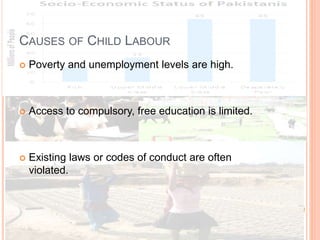 Child labour and human rights in Pakistan | PPTX