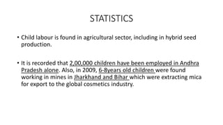 STATISTICS
• Child labour is found in agricultural sector, including in hybrid seed
production.
• It is recorded that 2,00,000 children have been employed in Andhra
Pradesh alone. Also, in 2009, 6-8years old children were found
working in mines in Jharkhand and Bihar which were extracting mica
for export to the global cosmetics industry.
 