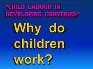 “Child  labour  in developing  countries” Why  do children work? 1 Alejandra Vega Campos 